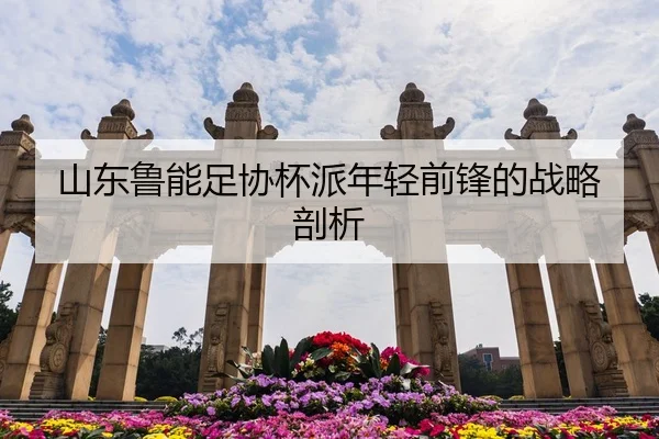 山东鲁能足协杯派年轻前锋的战略剖析 | crownsports